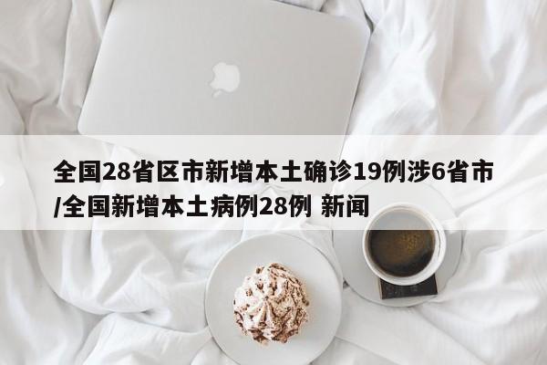 全国28省区市新增本土确诊19例涉6省市/全国新增本土病例28例 新闻