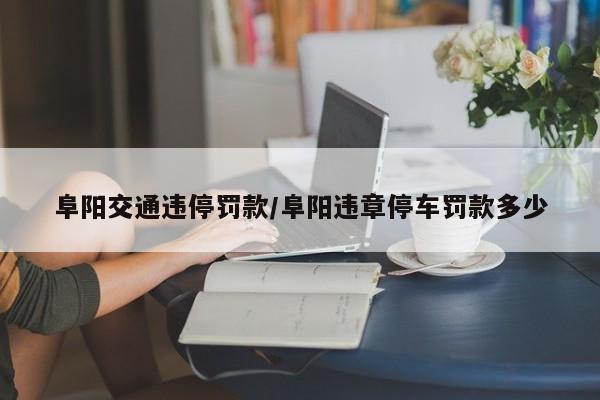 阜阳交通违停罚款/阜阳违章停车罚款多少