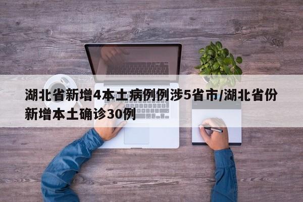 湖北省新增4本土病例例涉5省市/湖北省份新增本土确诊30例